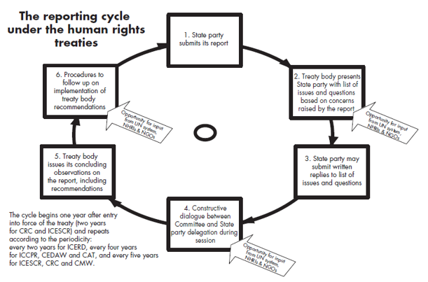 Human Rights treaties - reporting cycle